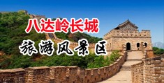 中国美女日逼下载中国北京-八达岭长城旅游风景区