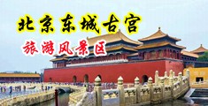 黑人大鸡巴插爆小骚穴中国北京-东城古宫旅游风景区